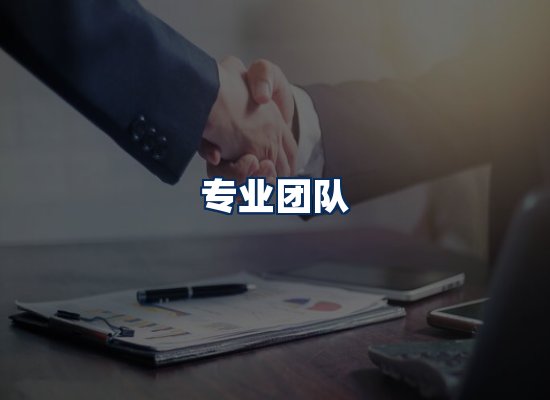 专业团队